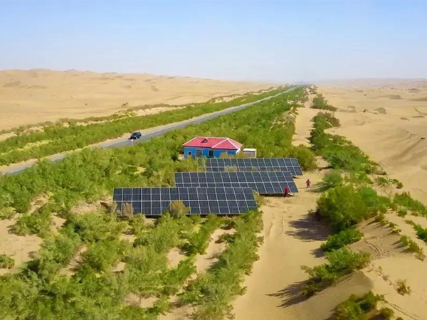 The green light scenery of Tarim oilfield is infinitely good